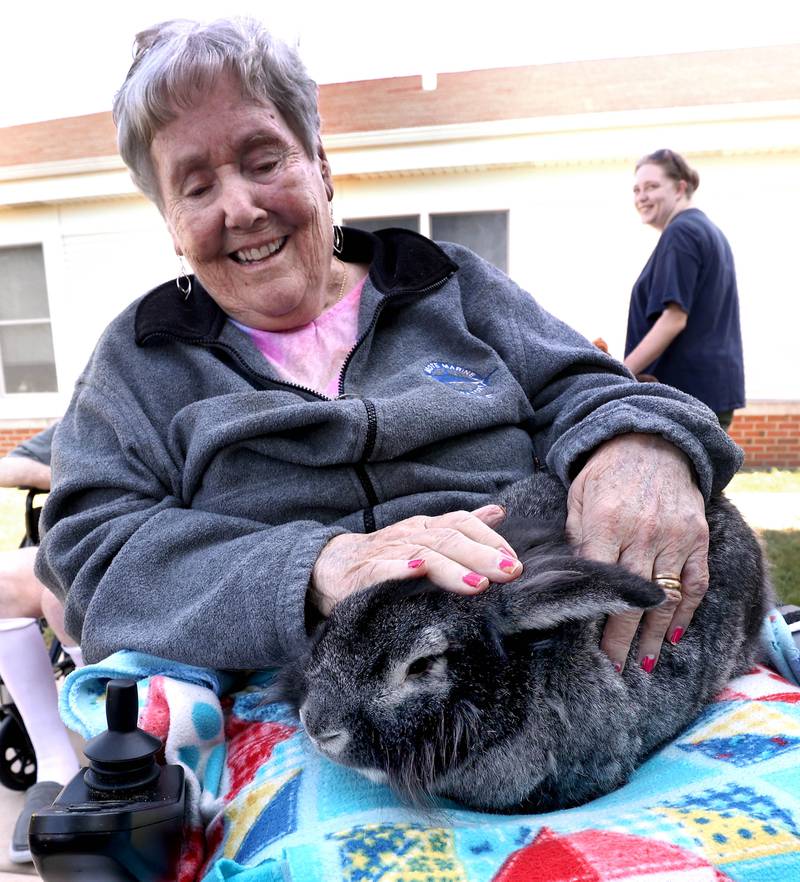 DeKalb County Rehab and Nursing Center resident Carol Janetezke pets a rabbit during a visit from Kate’s Kritters Mobile Petting Zoo Thursday, Sept. 18, 2025, at the facility in DeKalb.