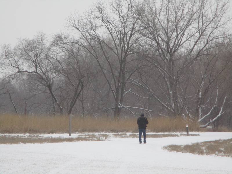 A man takes a hike along a snowy trail in the Rock Run Preserve in Joliet on Wednesday. Feb. 12, 2025