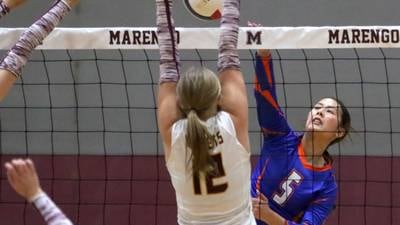 Daily Chronicle 2024 Volleyball All-Area Team