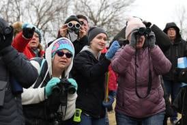 Eagle Watch returns to Channahon with raptors, hikes and hands-on fun