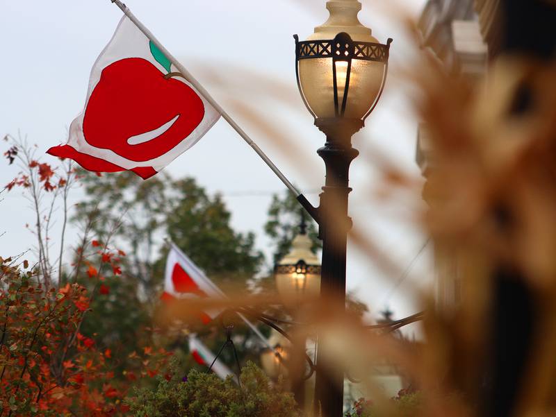 Banners flap during the Johnny Appleseed Festival in downtown Crystal Lake on Saturday Sept. 28, 2024, in Crystal Lake.