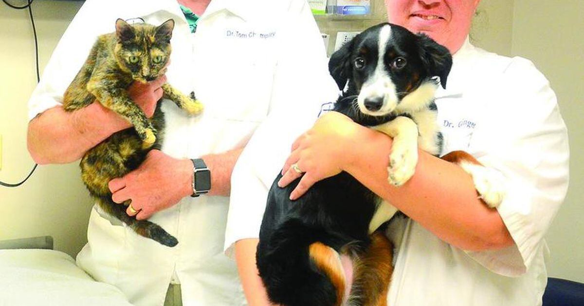 Oregon veterinarian sells business to coworker Shaw Local