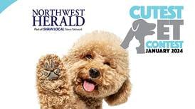 McHenry County's January 2024 Cutest Pet Contest