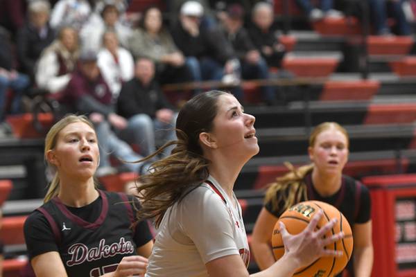 Photos: Forreston Lady Cardinals host Dakota in NUIC matchup