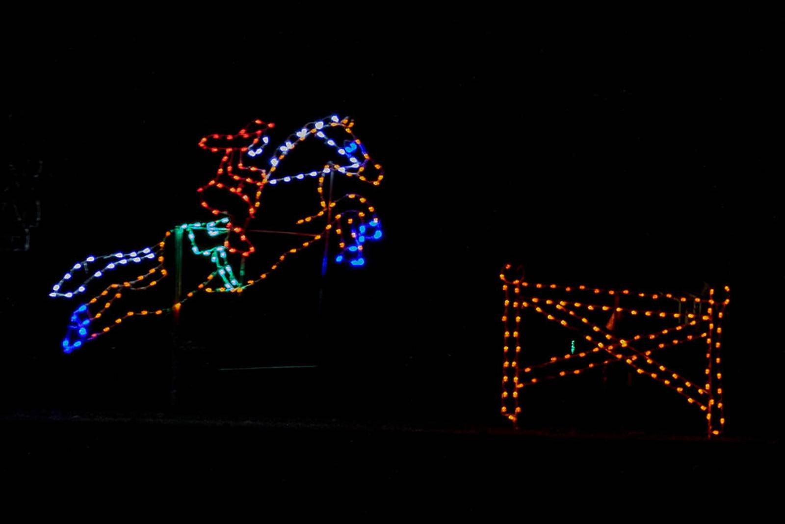 Mooseheart Holiday Lights Show returns Friday for 11th season Shaw Local