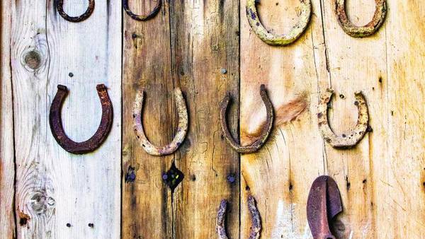 Equine Dreams awarded grant for accessible tack room construction