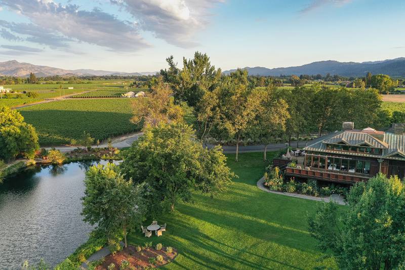Vineyards at Sullivan Rutherford Estates in California