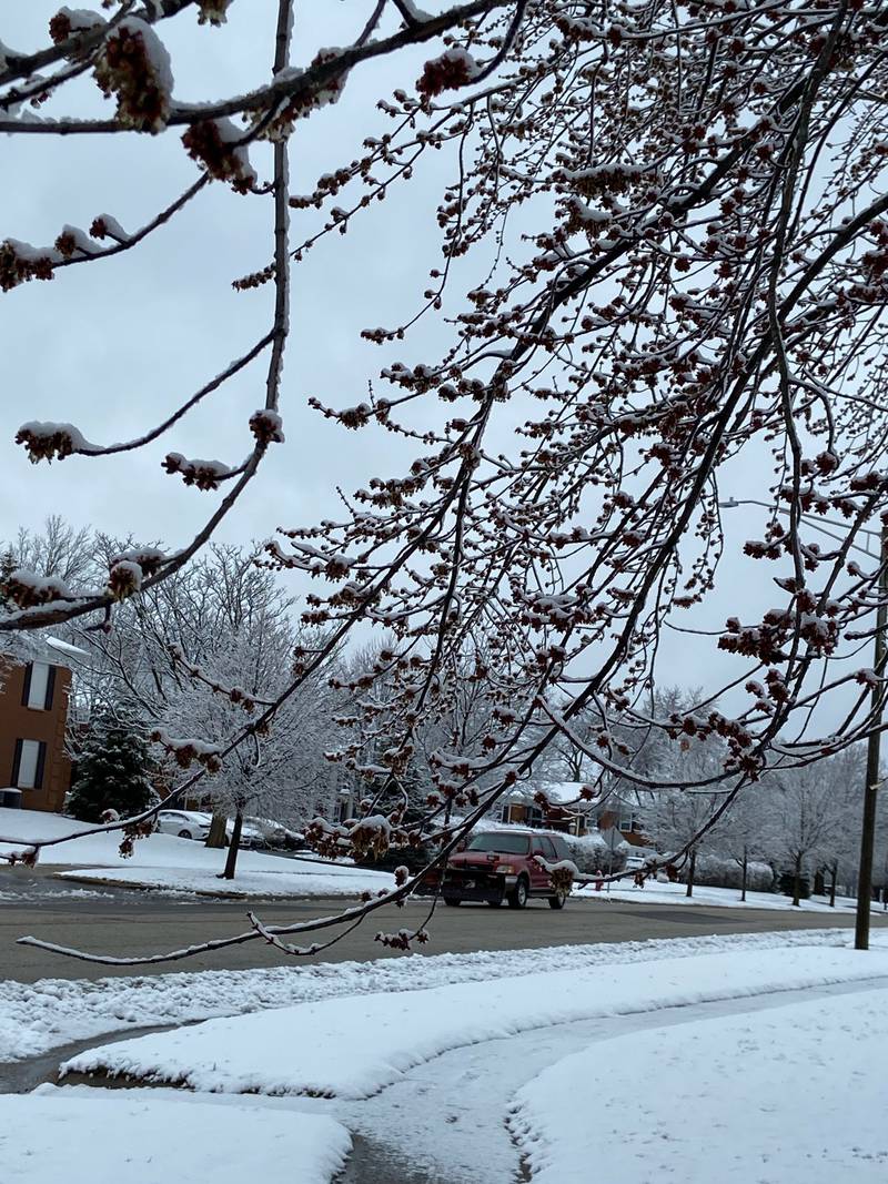 A car travels down Devonshire Lane on Saturday, March 25, 2023, in Crystal Lake after snow fell overnight into Saturday and into the morning.