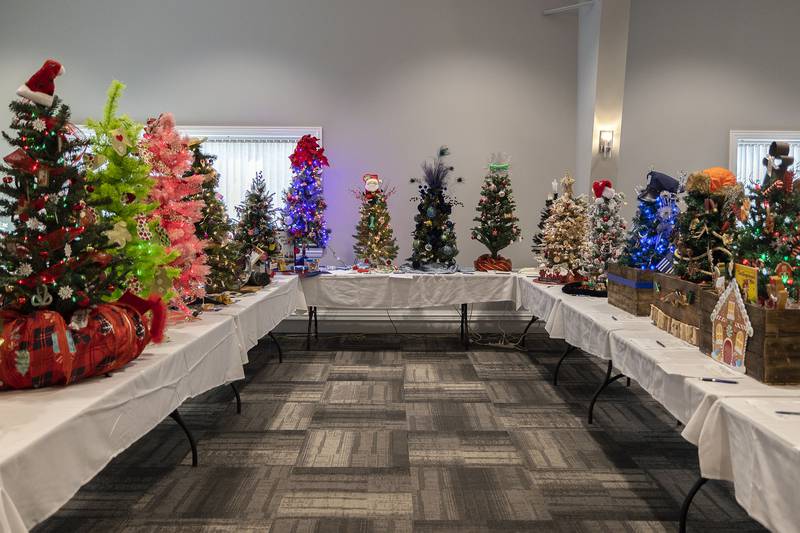Dozens of trees, big and small, are up for bid Thursday, Nov. 13, 2025, for Rock River Hospice and Home’s Festival of Trees fundraiser at McCormick Event Center in Rock Falls.