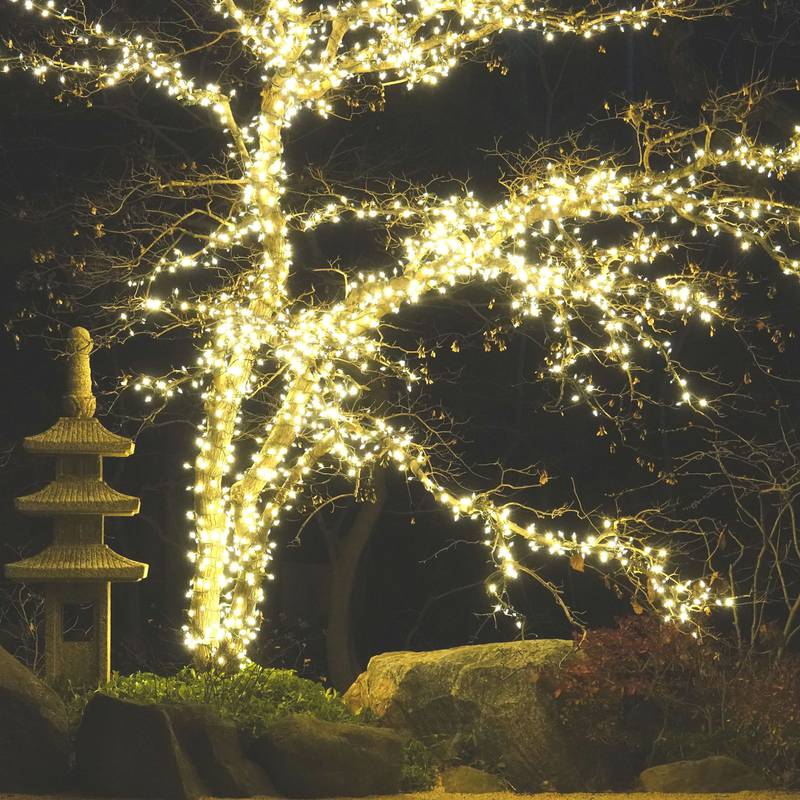 Anderson Japanese Gardens in Rockford will be awash in color for the holiday season. “Illuminated,” a winter lights experience, is from 5 to 8:30 p.m. Dec. 7 and 8, Dec. 12 to 15 and nightly from Dec. 18 through Jan. 5.