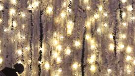 Recycle holiday lights at Wheaton’s public works facility