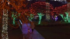 Merry and very bright: Wheaton to light up downtown park with 57,500 bulbs