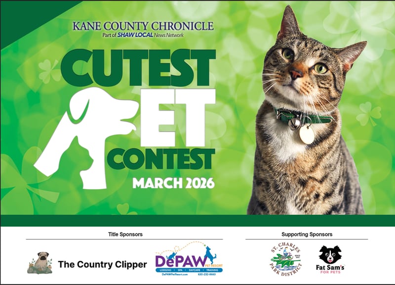 Full March Cutest Pet Header