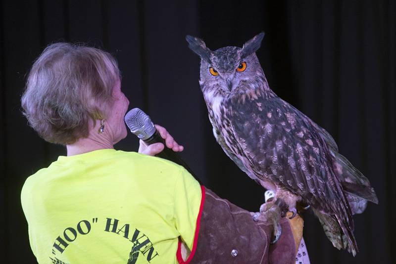 Denver, a eurasian eagle-owl checks out the scene Wednesday, April 13, 2022 at White Pines Resort in Mt Morris. Karen Herdklotz, owner and founder of Hoo Haven, tells a group of visitors a bit about the owl during the program.