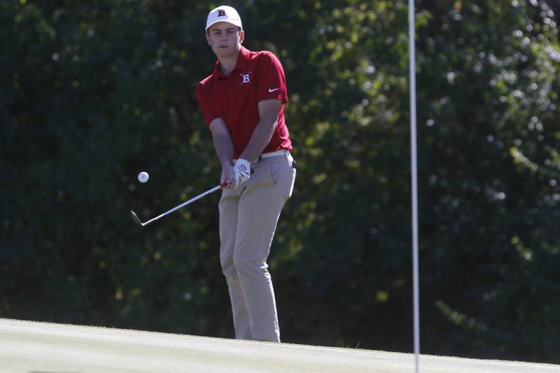 Barrington’s Sam Uutala chips onto the sixth green during the IHSA Class 3A Jacobs Sectional golf tournament on Monday, Oct. 7, 2024, at Randall Oaks Golf Club in West Dundee.