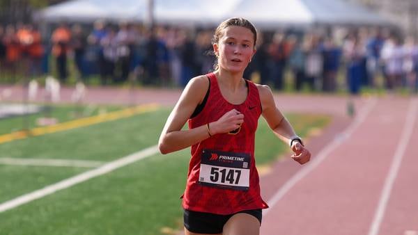 Batavia junior Avery Hacker is the Kane County Chronicle Girls Cross Country Athlete of the Year