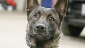 Eye On Illinois: Putting a law on the books doesn’t guarantee permanent change