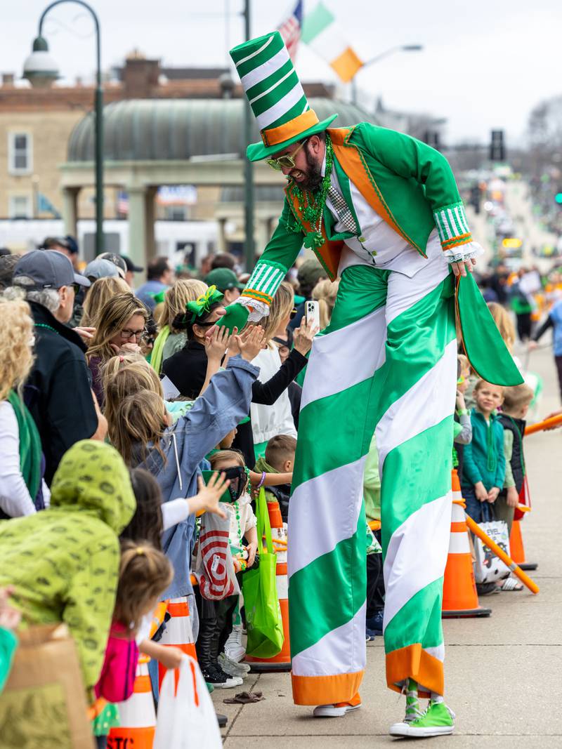 Stilt walker Jason Kollum high-fives the crowd during the St. Charles St. Patrick’s Parade on Main Street in St. Charles on Saturday, March 15, 2025.