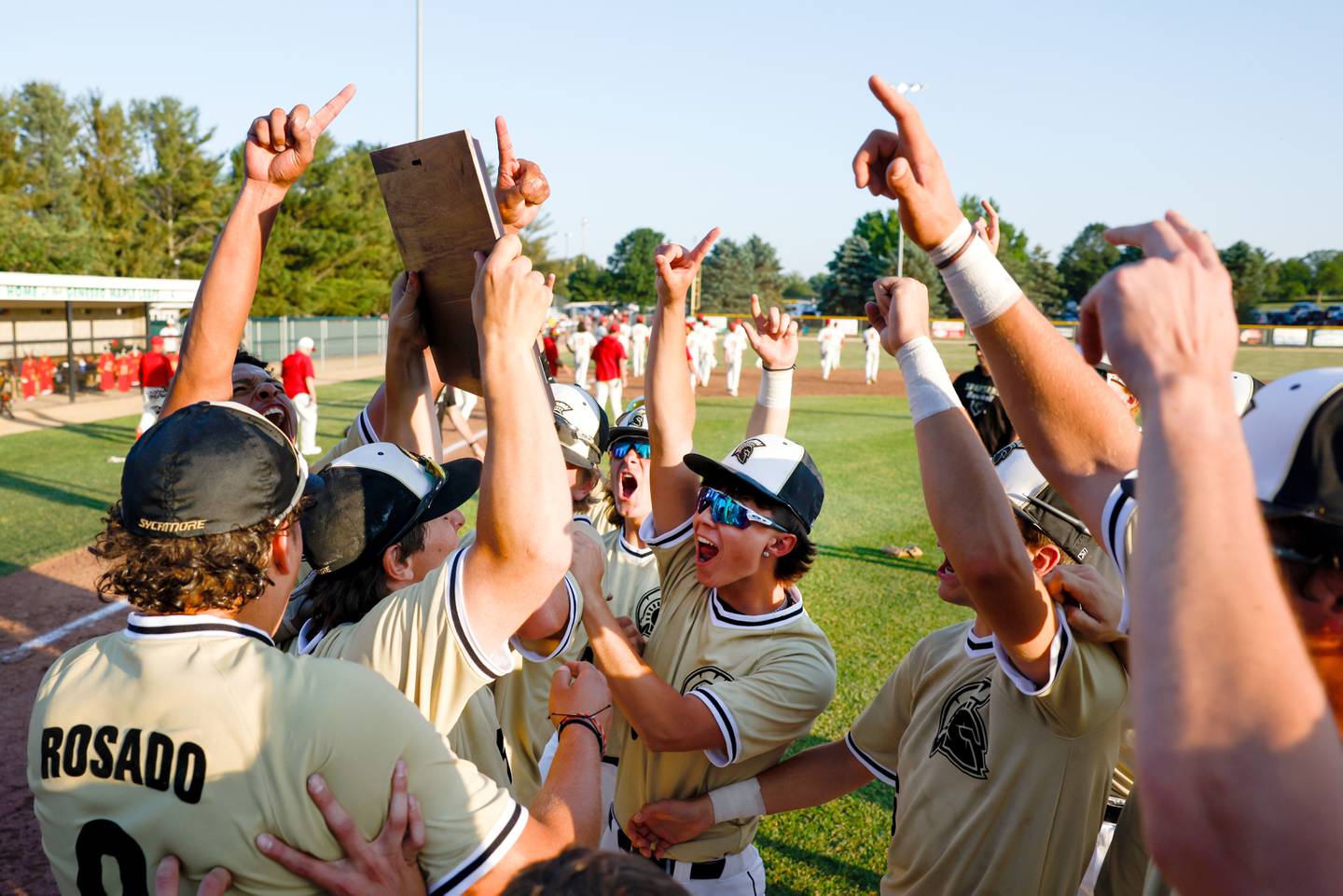 Sycamore players celebrate after defeating Rock Island, 8-0, in an Illinois Class 3A super-sectional, Monday, June 5, 2023, in Geneseo.