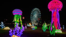 Dino Dash, Mother’s Day Brunch, Animal Encounters this spring at Brookfield Zoo 