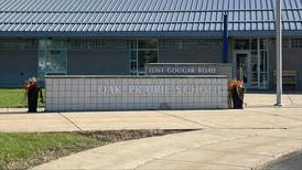 Will County schools show wide swings on meeting state academic standards