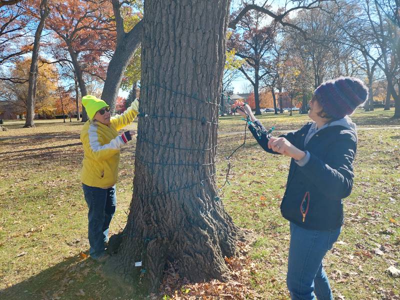 Light Up Streator volunteers Michelle Orban and Janice Green help string lights on a tree in City Park on Saturday, Nov. 11, 2023.