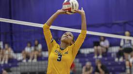 The 2024 Sauk Valley Media All-Area Girls Volleyball team 