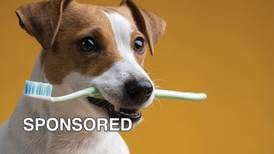 Why Pet Dental Health Month Matters for Your Dog’s Overall Wellbeing