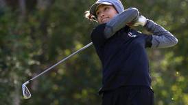 High school sports: All-Fox Valley Conference teams for fall sports
