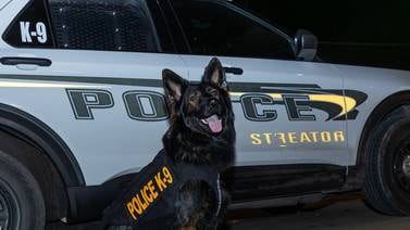 Streator police K9 Bo receives donated body armor