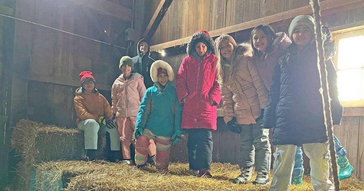 Winter at Primrose Farm: Where the season shifts, but learning never stops