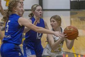 Girls basketball: Newark takes control early, beats Putnam County for regional title