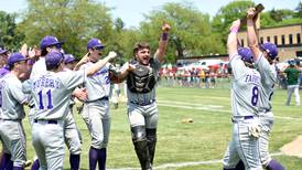 Photos: Wilmington vs. Bishop McNamara, Class 2A Beecher Sectional championship baseball