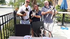 Where to dine with dogs in Will County 