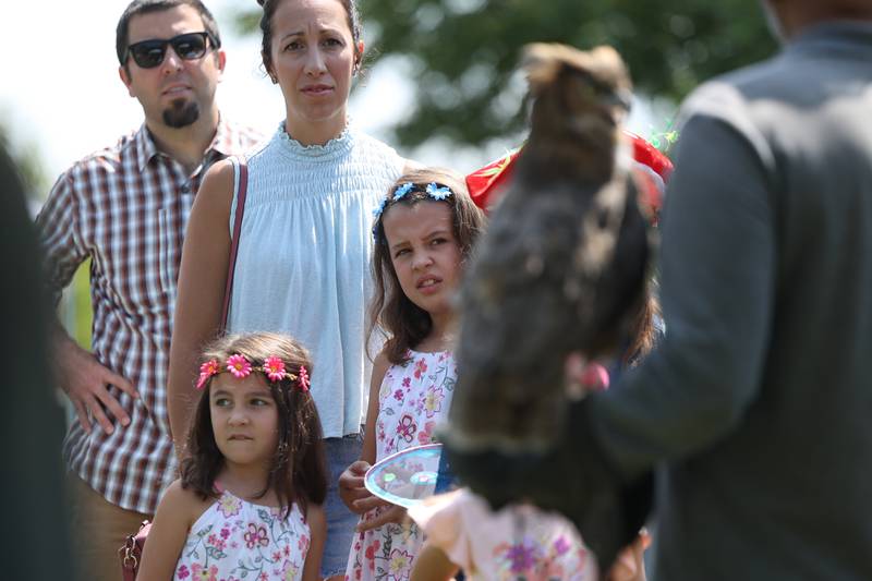 Ella McGahan, 8-years-old, and her sister, Victoria, 5-years-old, watch a Great Horned Owl presentation at the Royal Faire hosted by the Joliet Public Library Black Road Branch on Saturday, July 22nd, 2023.