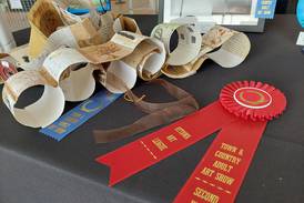 Local artists shine at the 67th Town & Country amateur art show in Ottawa