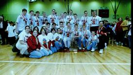 Bureau County Sports Hall of Fame: Hall 1996-98 state basketball teams at glance