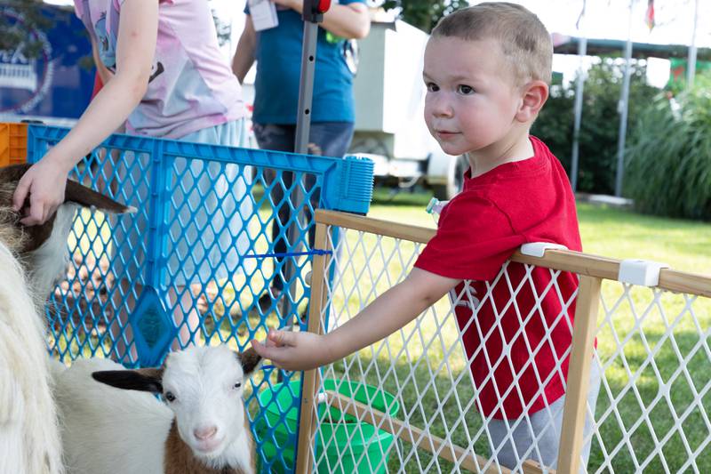 Ed Gensler feeds goats on Saturday, August 9, 2025 at the annual Wenona Days on Chestnut Street in Wenona.