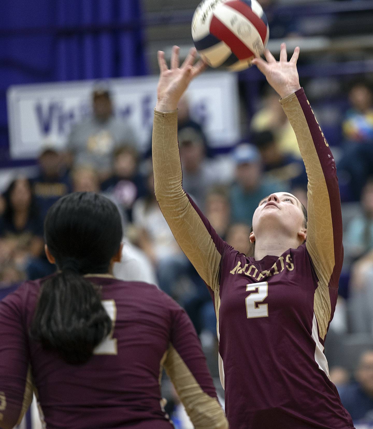 Morris’ Alexis Williams sets the ball against Sterling Tuesday, Oct. 29, 2024, at the class 3A regional semifinal in Dixon.