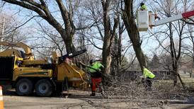 McHenry Township trustees prevail in highway commissioner’s state court appeal, cementing 30% levy cut