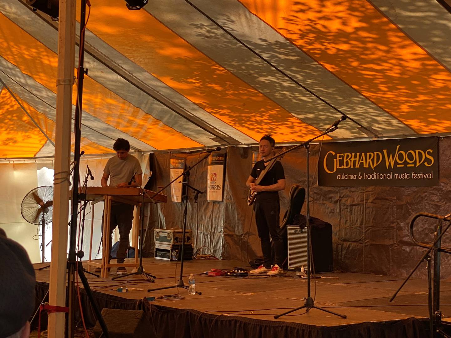 House of Waters plays on the main stage at the 33rd Annual Gebhard Woods Dulcimer Festival on Saturday at Goold Park.