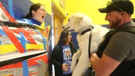 Photos:  Princeton Logan Jr. High teachers get taped up for a good cause 