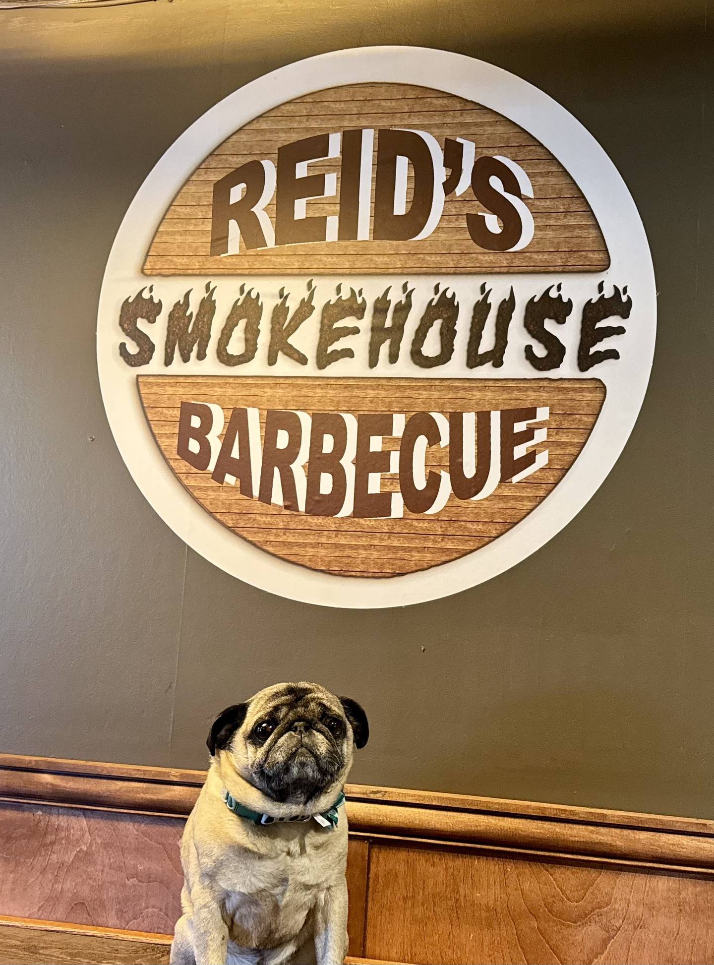 The restaurant will also introduce Sir Winston, Reid’s older brother and best pug friend, Racz said.  Sir Winston will be the face of the restaurant’s rubs and sauces, which the restaurant will call “Rubbies”.