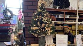 Goose Lake Prairie Partners sponsor special tree Festival of Trees