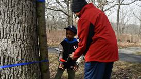 Maple Syrup Magic returns to Plum Creek Nature Center Saturday