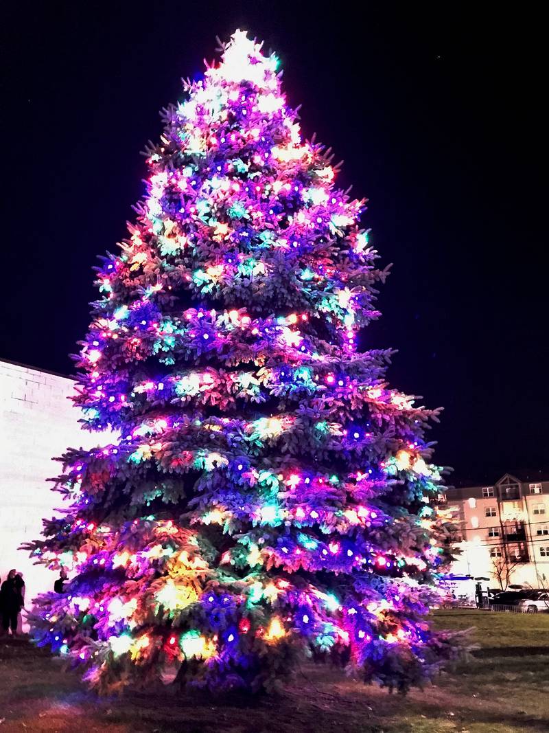 Oswego's Christmas tree lit up bright at the corner of Main Street and Jackson Street during Oswego's Christmas Walk celebration Dec. 3.