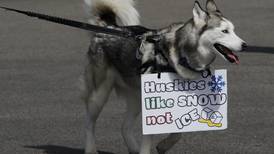 Listen: McHenry County’s 5 most-read stories this week, March 22-28