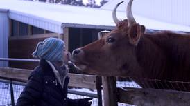 Richmond’s Stardust Animal Sanctuary preps its menagerie for cold blast