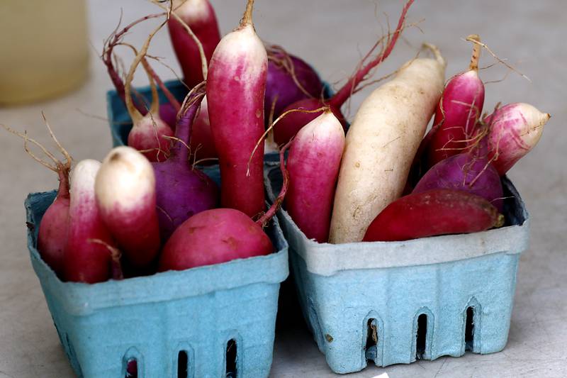 Radishes for sale at the Tuesday Woodstock Farmer's Market on June 24, 2025, around the Historic Woodstock Square.