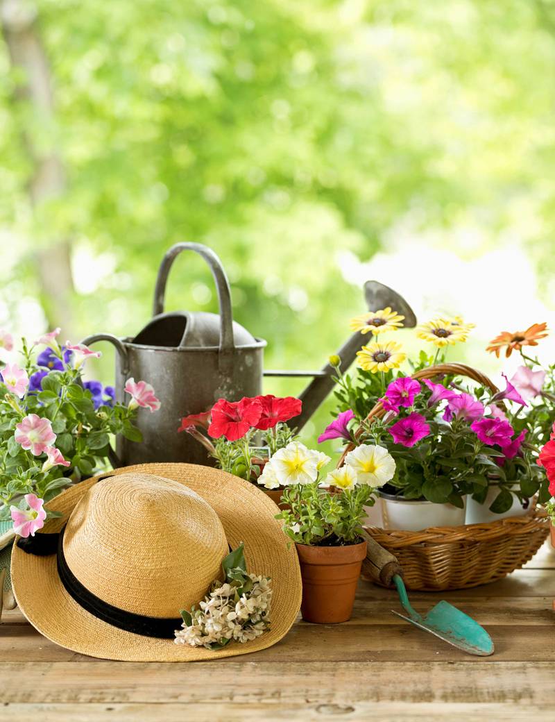 Countryside Flower Shop - Seven tips to prepare your garden for Spring